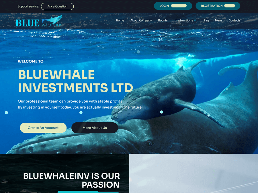 Bluewhale Investment Ltd