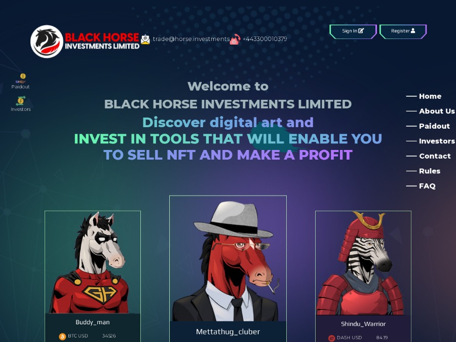 Black Horse Investments Limited